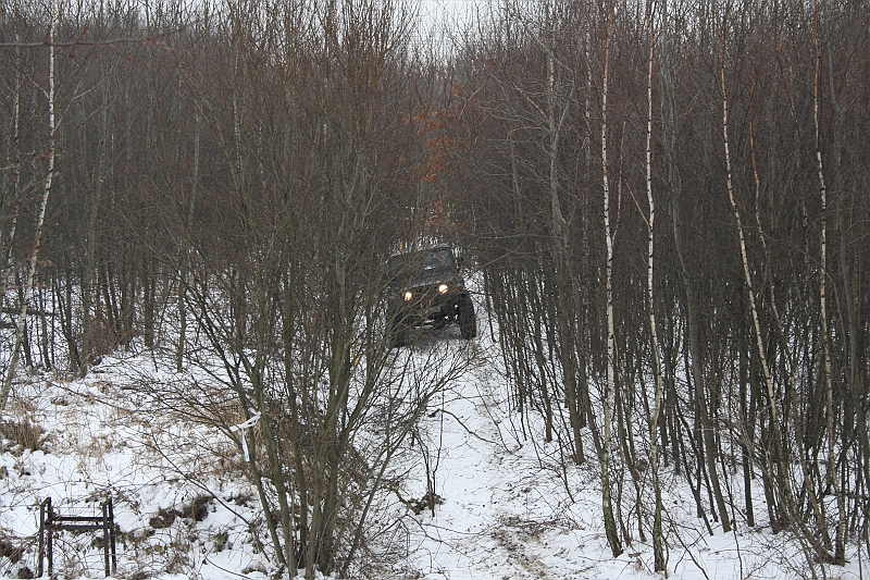 WOSP_Pasternik_2009 027